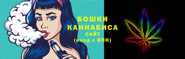 PSILOCYBIN Горнозаводск