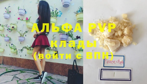 PSILOCYBIN Горнозаводск