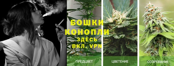 PSILOCYBIN Горнозаводск