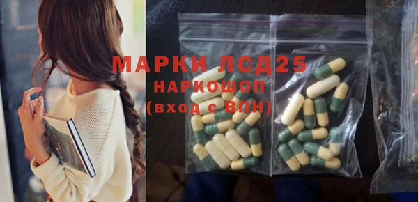 PSILOCYBIN Горнозаводск